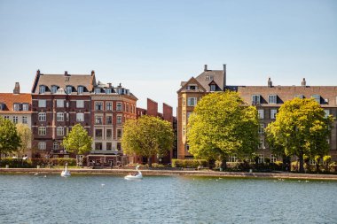 COPENHAGEN, DENMARK - MAY 6, 2018: catamarans shaped of swans on river in front of buildings  clipart