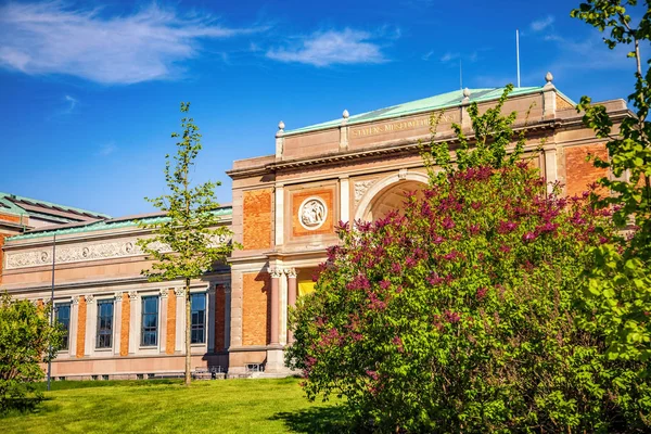 Bella Fioritura Lilla Prato Verde Vicino Vecchio Edificio Copenhagen Denmark — Foto stock gratuita