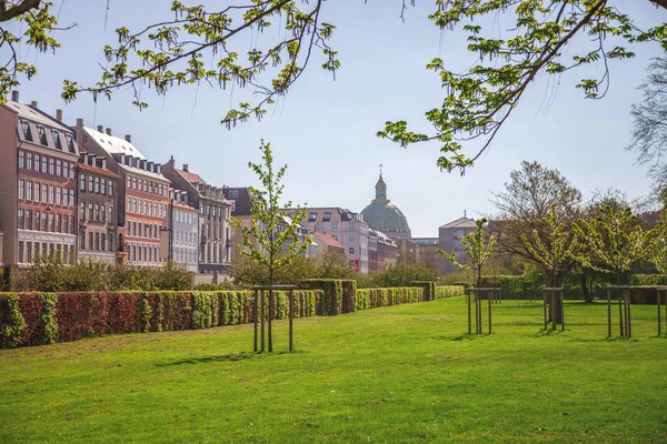 beautiful green lawn with trees and bushes and cozy street with historical buildings in copenhagen, denmark