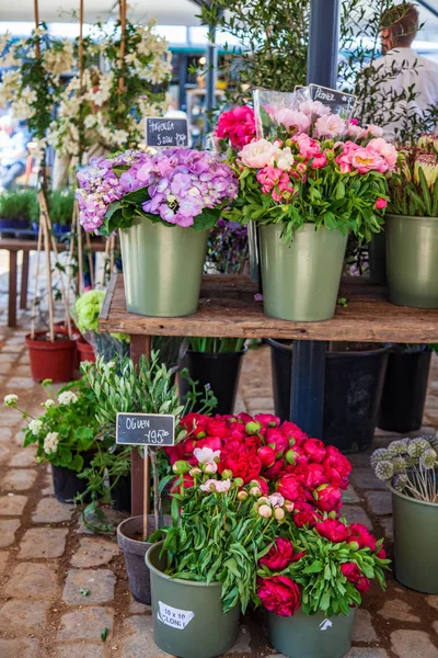Close View Hortensia Peonies Buckets Market Place — Stock Photo, Image