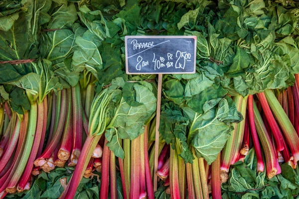 Ravent, yeşil yaprakları ve kara tahta yazı ile 