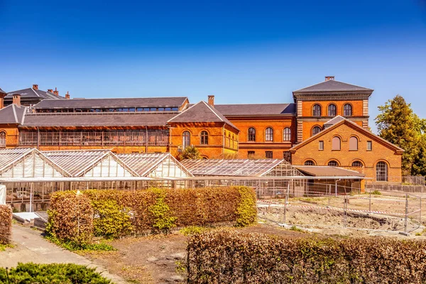Rumah Kaca Dan Bangunan Bawah Langit Biru Jelas Kopenhagen Denmark Stok Gambar Bebas Royalti