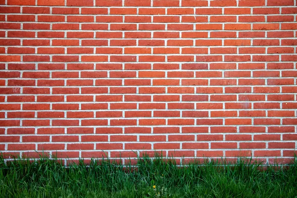 Vollständiger Rahmen aus Ziegelmauer und grünem Rasen Hintergrund — Stockfoto