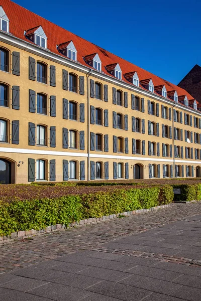 Schöne grüne Büsche in der Nähe historischer Gebäude mit offenen Rollläden in Kopenhagen, Dänemark — Stockfoto