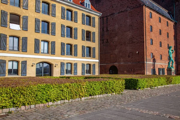 Hermosos arbustos verdes y estatua cerca de edificios históricos en copenhagen, denmark - foto de stock