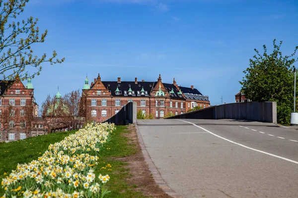 Route vide et pont, belle floraison jonquilles et architecture historique à copenhagen, Danemark — Photo de stock