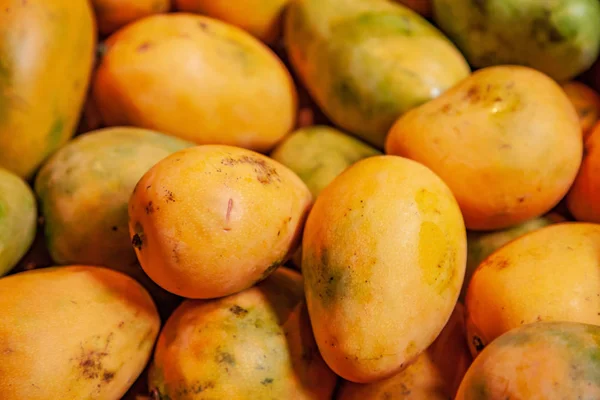 Selective focus of pile of yellow mangoes — Stock Photo