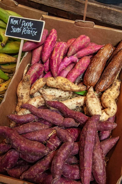 Nahaufnahme von Süßkartoffeln und Bananen in Kartons — Stockfoto