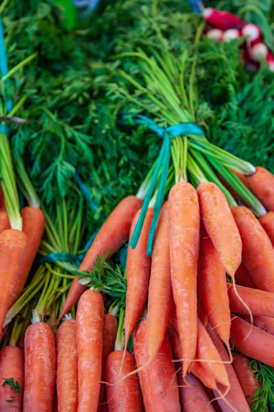Zanahorias - foto de stock