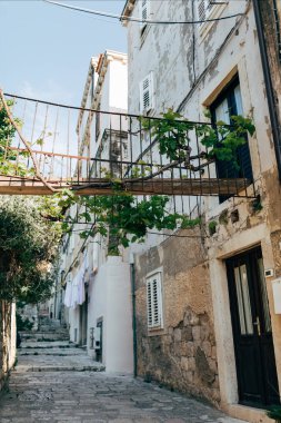 Dubrovnik, Hırvatistan için boş dar Sokağı'nın doğal görünümü