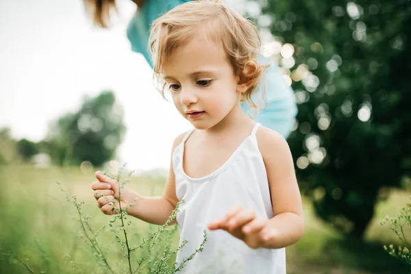 Cropped image of child touching twigs in field — Stock Photo