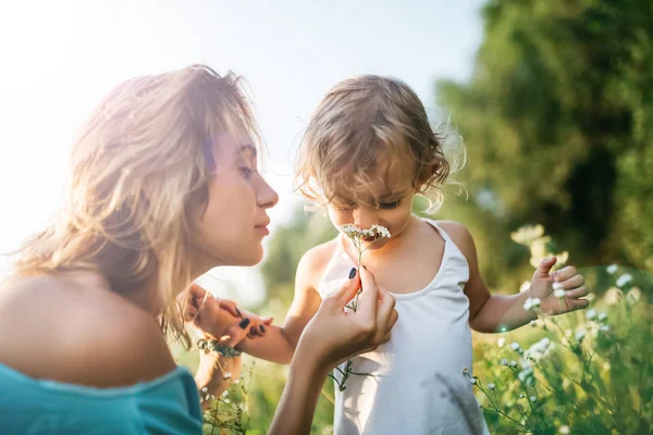 Sniffing — Stock Photo