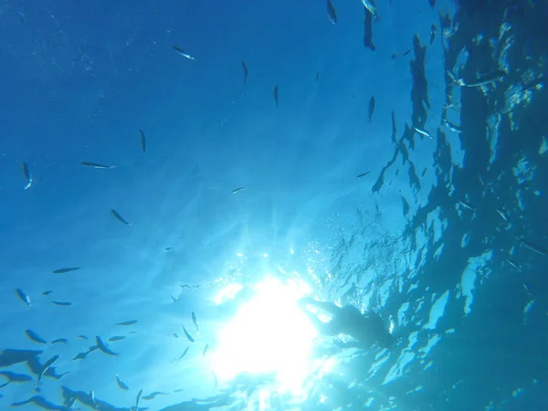 Der Große Sonnenschein Unter Wasser — Stockfoto