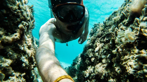 Vivir Bajo Agua Peces Coral Paisajes Agradables Agua Azul Clara —  Fotos de Stock