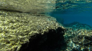 su, balık, mercan, güzel manzara, mavi ve berrak su ve dalış ve having fun insanlar altında yaşamak.