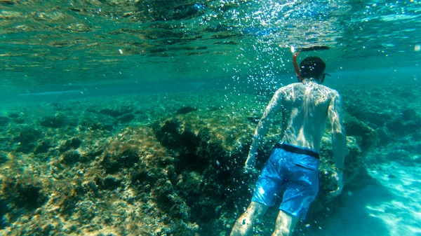 Leben Unter Wasser Fische Korallen Schöne Landschaften Blaues Und Klares — Stockfoto