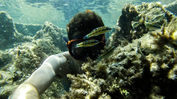 su, balık, mercan, güzel manzara, mavi ve berrak su ve dalış ve having fun insanlar altında yaşamak.