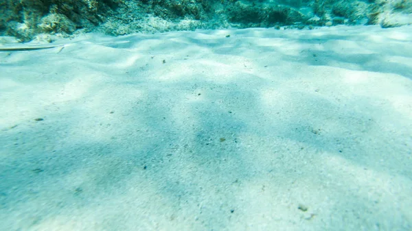 Żywo Pod Woda Ryby Koral Ładne Krajobrazy Niebieski Czysta Woda — Zdjęcie stockowe