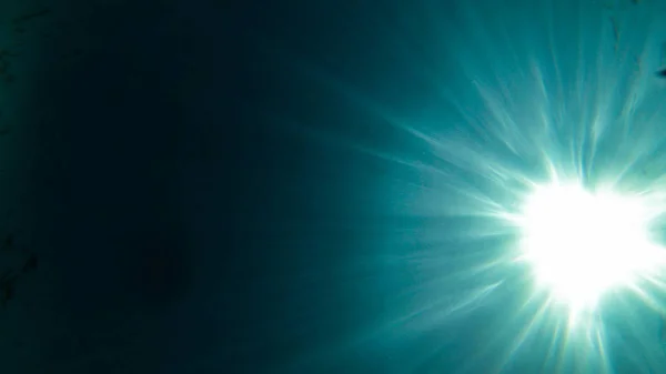 su, balık, mercan, güzel manzara, mavi ve berrak su ve dalış ve having fun insanlar altında yaşamak.