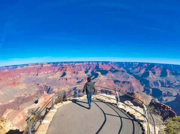 Uomo Guardando Alla Grande Madre Natura — Foto Stock