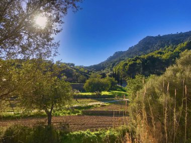 mallorca, Akdeniz'de ada güneyinde batıda Calvia doğa alanında büyük kez bakıldı,
