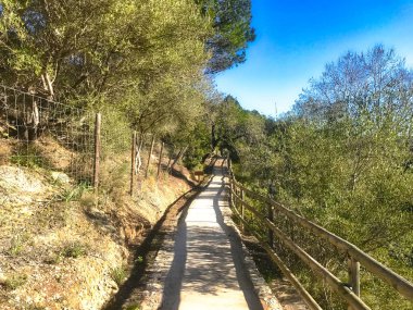 mallorca, Akdeniz'de ada güneyinde batıda Calvia doğa alanında büyük kez bakıldı,