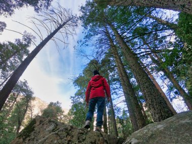 vahşi yosemite üzerinde kırmızı ceketli adam