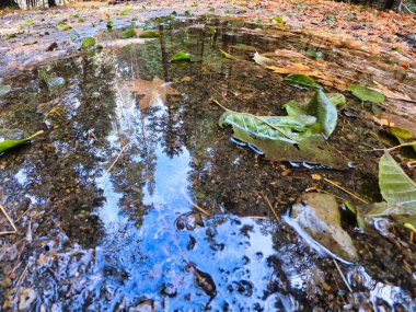 yosemite milli parkta doğa manzara