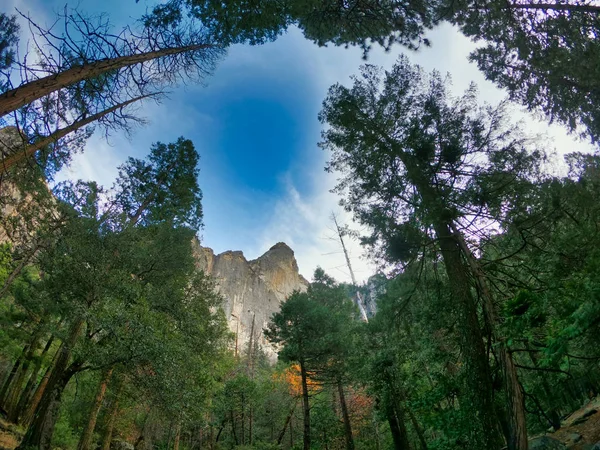 Paisaje natural en el parque nacional de Yosemite — Foto de Stock