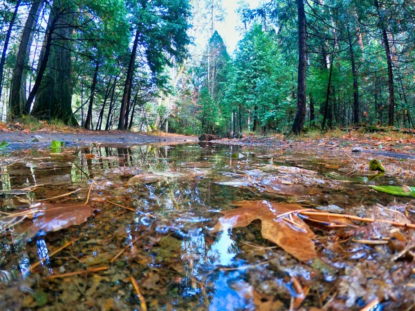 Paisagem natural no parque nacional de yosemite — Fotografia de Stock