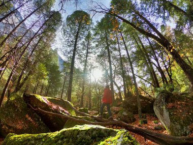 vahşi yosemite üzerinde kırmızı ceketli adam