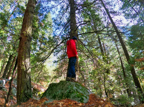 Homem com jaqueta vermelha na yosemite selvagem — Fotografia de Stock