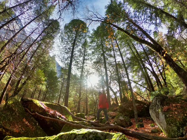 vahşi yosemite üzerinde kırmızı ceketli adam