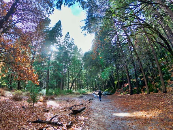 Paisagem natural no parque nacional de yosemite — Fotografia de Stock