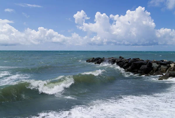 Şehir sahilde Fırtına