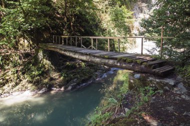 yağmur ormanlarında eski ahşap köprü