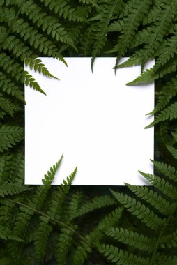 Eğreltiotu dalları ve tropikal yaprakları olan bir kompozisyon. Boşluğun bir kopyasıyla birlikte şablon. Eğrelti otu. Yaratıcı yeni yıl modeli. Kavramsal tasarım için şubenin modeli.