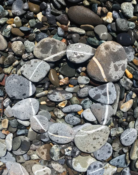 Ein Kreis Aus Meeressteinen Die Muster Auf Den Steinen Hintergrund — Stockfoto