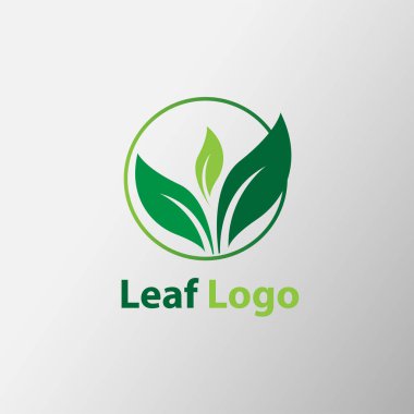 Yaprak Logo şablonu vektör tasarımı