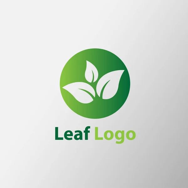 Yaprak Logo Şablonu Vektör Tasarımı — Stok Vektör