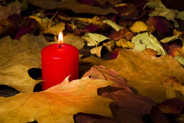 Lighted Candle Background Large Number Old Wilted Leaves — Stock Photo, Image