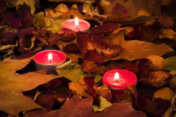 在干燥的叶子背景上点燃的蜡烛 图库照片