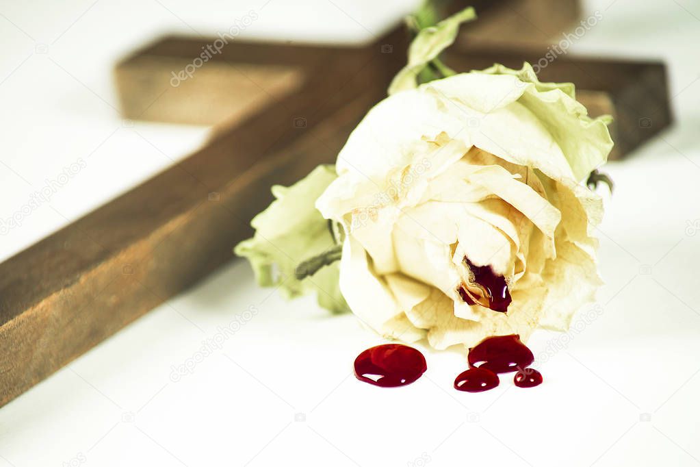 A withered rose against the background of a cross on light boards from which blood leaks
