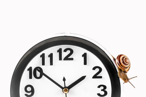 Idő telik koncepció-csiga és az óra izolált fehér — Stock Fotó