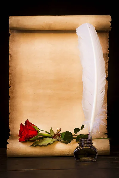Parchment scroll, red rose and feather — Stock Photo, Image