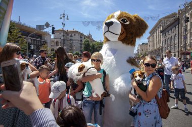 Kiev, Ukrayna - 10 Mayıs 2018: Jack büyük şekil belgili tanımlık korkunç ikinci yıllık Jack Russell Parade 2018 Kiev, dağınık.