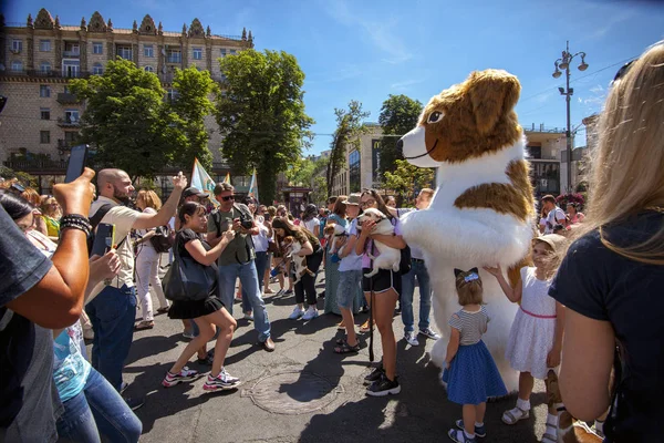 乌克兰基辅 2018年5月10日 巨大的数字杰克已经分散的梗在第二个年度杰克罗素游行2018在基辅 — 图库照片