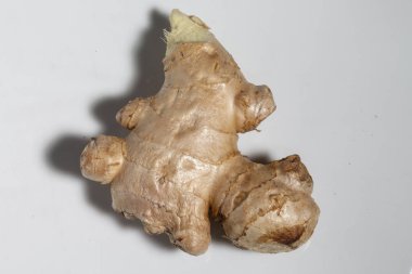 Beyaz arkaplanda zencefil kökü