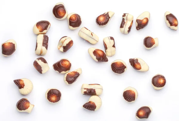 Coquillages Belges Traditionnels Bonbons Chocolat Gros Plan Sur Fond Blanc — Photo