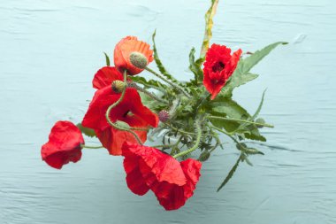 Kırmızı haşhaş buketi (mısır haşhaşı, mısır gülü, tarla gelinciği, kırmızı ot, koclycot) ahşap masadaki küçük cam vazoda metin için yer var.